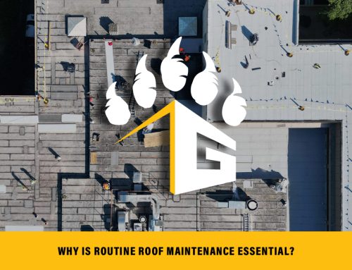 Why Routine Roof Maintenance is Essential to Maintaining the Longevity of Your Commercial Property